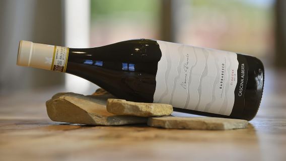 Wine Tour.Visit a Small Organic Winery in the Langhe/Cascina Alberta