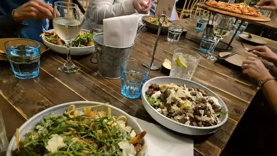 雪梨：藍山晚出發，健行瀑布和無尾熊