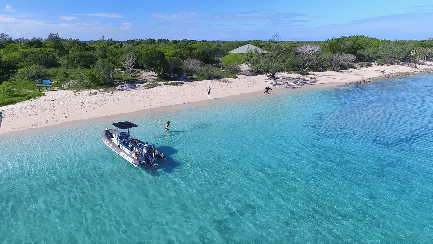 Terminal de Noumea: Visita a la Isla Señal y nado con tortugas