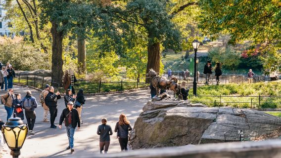 NYC: Geführte Rikscha-Tour durch den Central Park