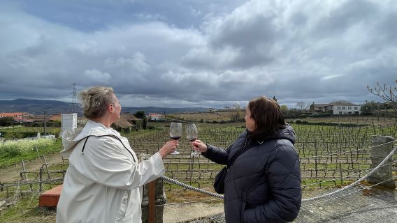 Porto: Green Wine Tasting and visit
