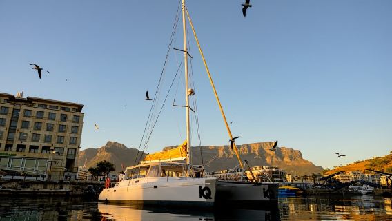 ケープタウン:V&Aウォーターフロント1時間シーニッククルーズ