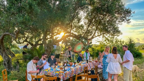 Alcamo: Rasa Wain Asli & Minyak Zaitun - Sicily