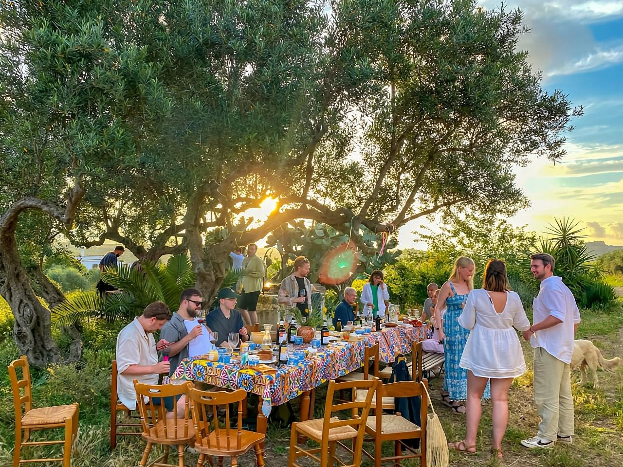 Alcamo: Natural Wine & Olive Oil Tasting - Sicily