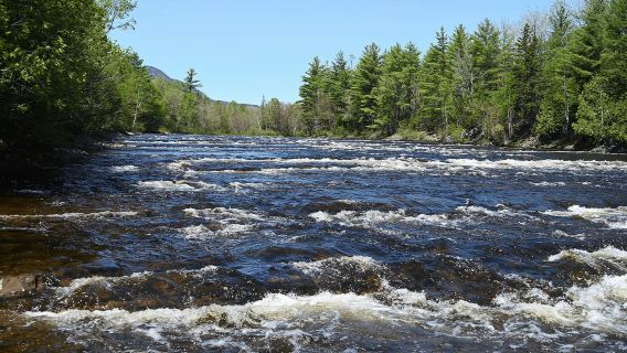 Maine: Penobscot Downriver Boat Rides