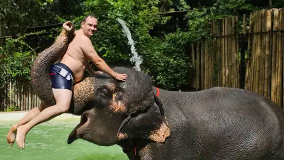 ทัวร์ 1 วันหมู่บ้านช้างภูเก็ต [Kokchang Safari]