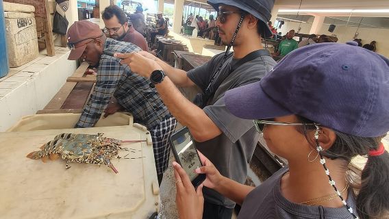 Dar es salaam Half Day Tour With Transfers