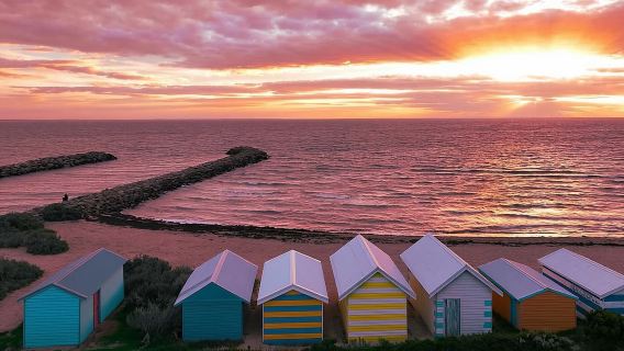Melbourne Brighton Bathing Boxes + Phillip Island Penguin Parade Day Tour