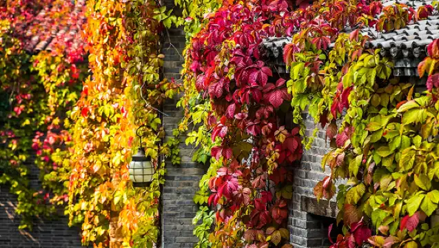 古北水鎮+司馬台長城一日遊【2-7人獨團含纜車可選夜遊長城】