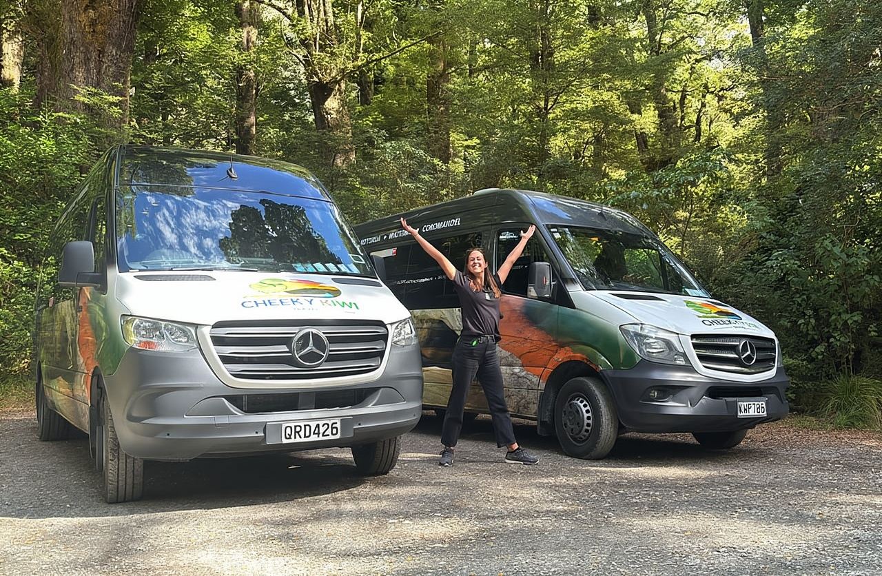 From Te Anau: Milford Sound Tour with Cruise and Lunch