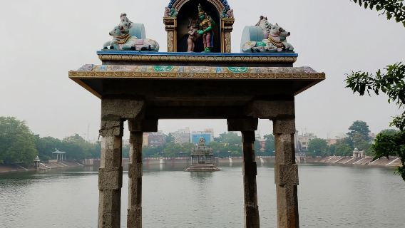 Enjoy the Tuk Tuk Experience in Chennai - Private Tour