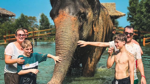 Lawatan sehari kongsi kenderaan mengelilingi Phuket + Kem Memasak Makanan Thai di Kem Gajah Comel, Wat Chalong, Bandar Phuket, Tanjung Promthep