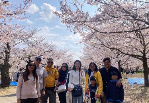 Osaka 4 Hours: Special Sakura Season, Castle, Highlights, Walking