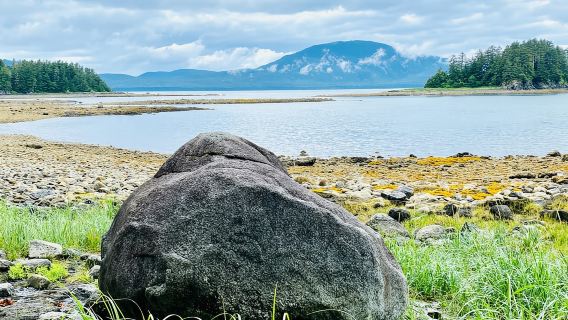 Juneau: Safari fotográfico por la selva tropical en un Segway
