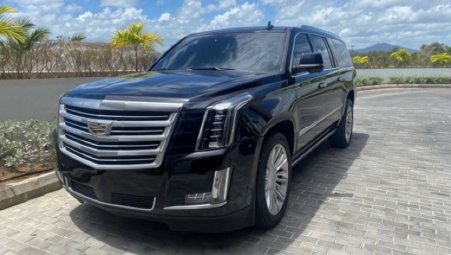 VIP-vervoer in HEEL Punta Cana (HEEN EN TERUG)