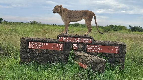 Nairobi National Park, Sheldrick Elephant, Giraffe Centre Tour