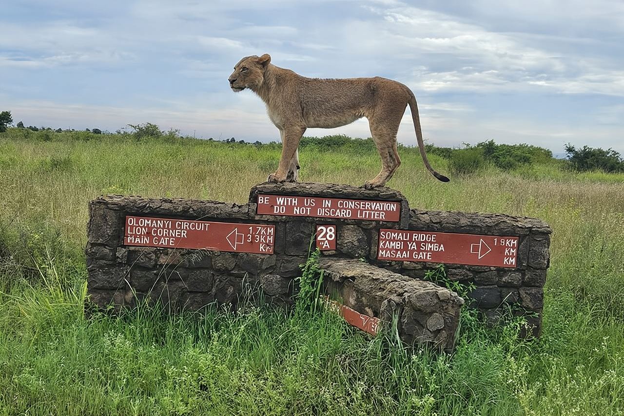 Nairobi National Park, Sheldrick Elephant, Giraffe Centre Tour