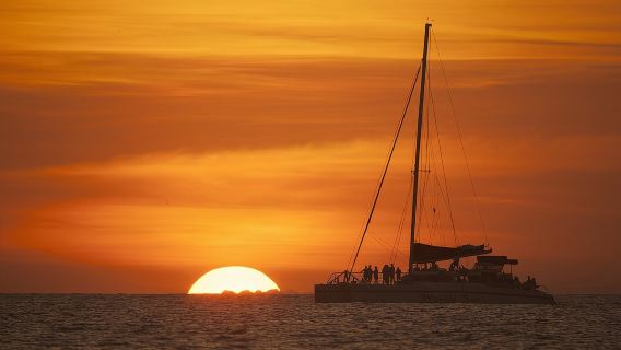 ล่องเรือดำน้ำตื้นชมพระอาทิตย์ตกด้วยเรือ Marlin del Rey Catamaran จากทามารินโดหรือปลายาสเดลโคโค