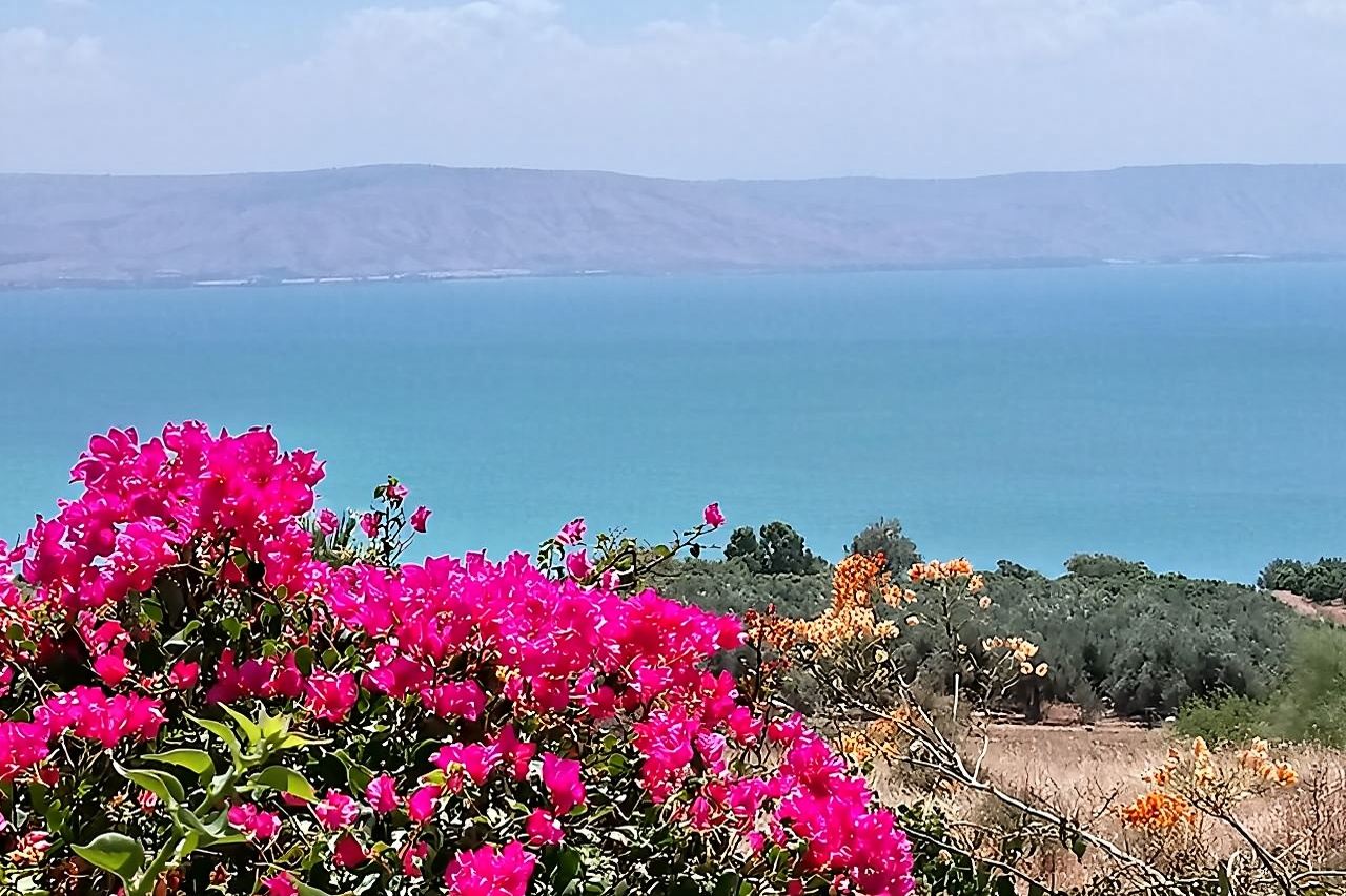 Galilee Day Tour