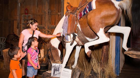 Kemasukan The Buckhorn Saloon & Museum dan Texas Ranger Museum