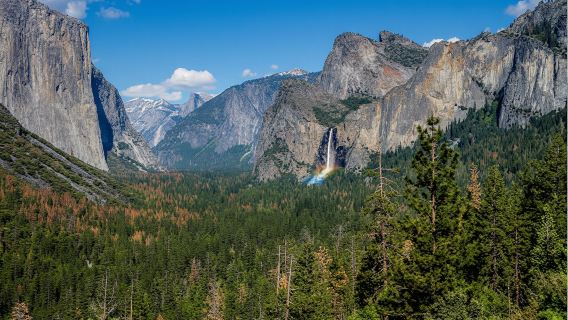 Yosemite and Giant Sequoias guided day tour from San Francisco