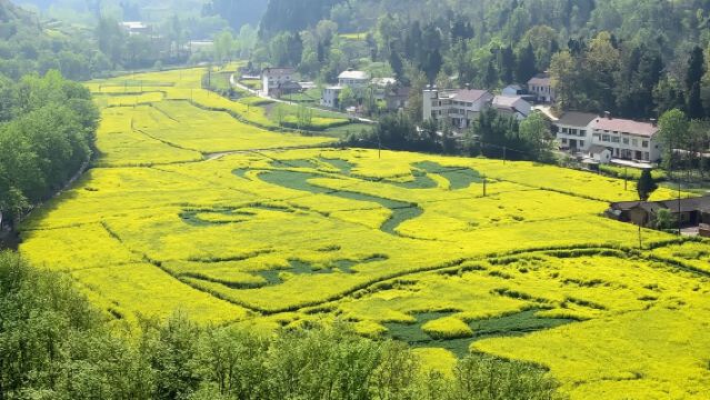 漢中油菜花勉縣龍灣+諸葛古鎮+興漢勝境2-6人小團