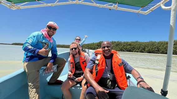 Boat tour through the mangroves of Celestún and Playa from Merida