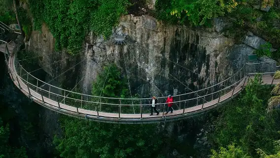 Vancouver Tour: Stanley Park, Granville Island & Capilano Bridge