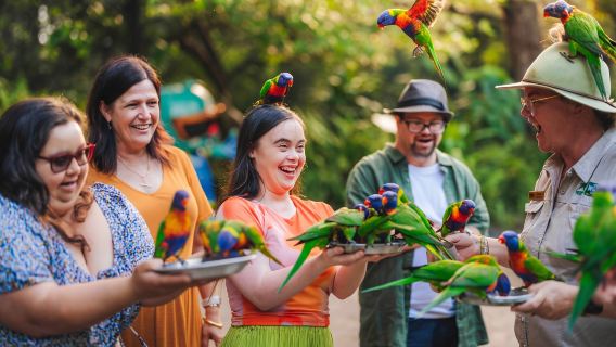 Gold Coast Currumbin Wildlife Sanctuary [Optional koala photo op/koala breakfast/koala afternoon tea]