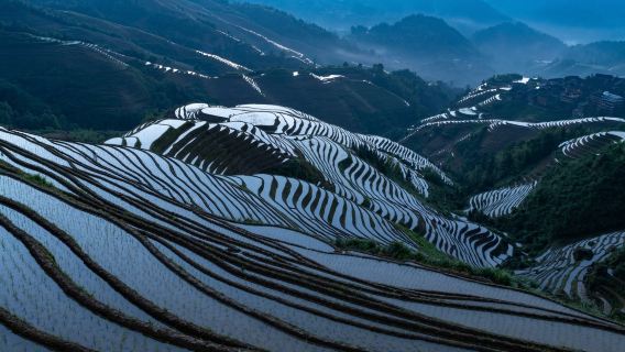 Excursion à la journée culturelle dans l'ancien village Zhuang et Yao : Rizières en terrasses de Longji, artisanat et paysages pittoresques