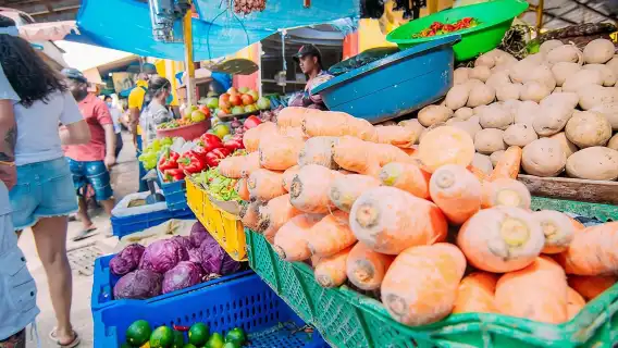 Half-Day Higüey Cultural Safari with Lunch and Drinks