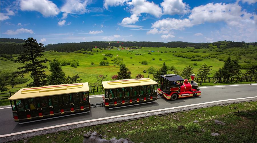 重慶武隆天生三橋+龍水峽地縫+仙女山一日遊【全景2-8人團】