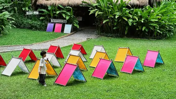 Chiang Mai Namtok Bua Tong-Nam Phu Chet Si National Park half-day tour/1-day tour [optional Chiang Mai Blue Temple/Tiger Kingdom]