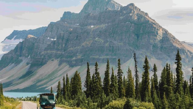 Da Banff: Tour Guidato di Mezza Giornata al Lago Moraine e al Lake Louise