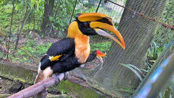 Kuala Lumpur: Bird Park Entry & 1-Way Shared Transfer