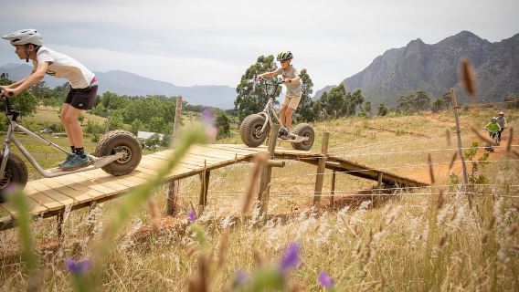 ステレンボッシュ ワインランズのダウンヒル重力スクーター