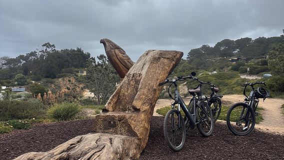 Solana Beach: Electric Bike Rental with 5-Level Pedal Assist
