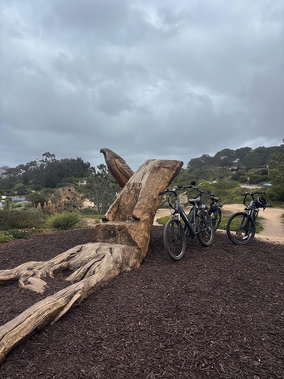 Solana Beach : location de vélos électriques avec assistance au pédalage à 5 niveaux