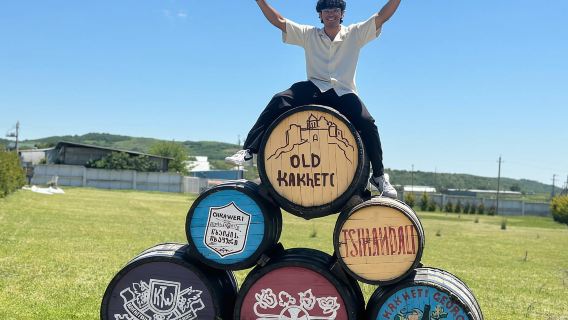 Tbilisi: Recorrido por la región vinícola de Kajetia con 10 catas de vino