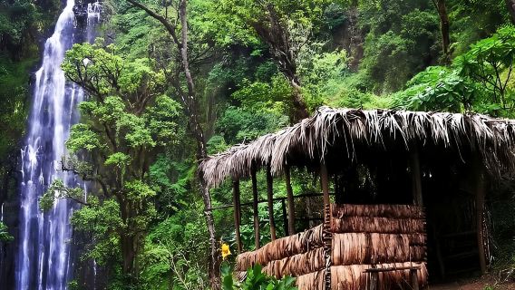 Moshi : Materuni Waterfall and Coffee Tour with Lunch