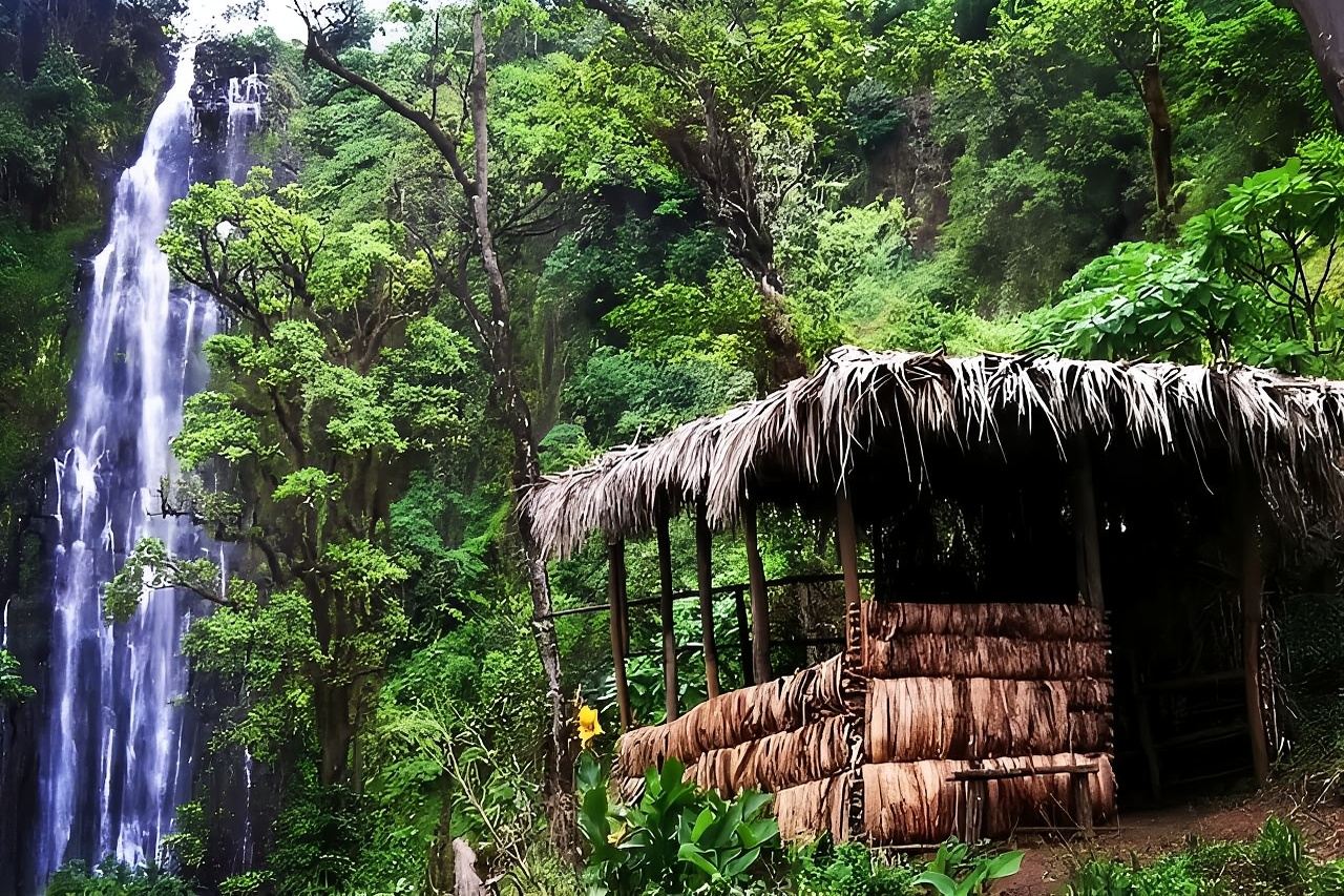 Moshi : Materuni Waterfall and Coffee Tour with Lunch