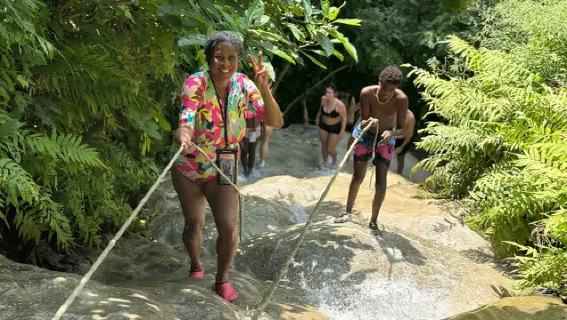 Chiang Mai: Elephant Sanctuary, Long Neck & Sticky Waterfall