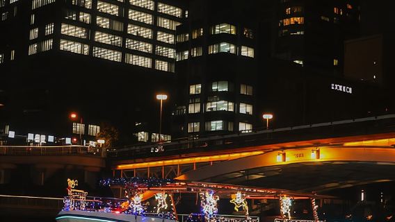 Osaka: Dotonbori 20-Minute Cruise and Christmas Night Option