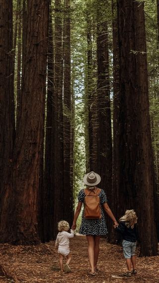 Melbourne Puffing Billy Steam Train + Redwood Forest + Yarra Valley & Dandenongs Ranges Day Tour [Premium Group | Hotel Transfers]