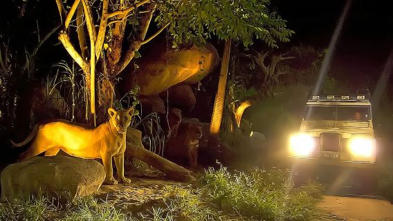 Avventura notturna a Bali - Un'esperienza unica con la fauna selvatica