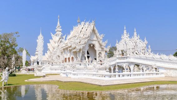 Chiang Mai Wat Rong Khun - White Temple + Chiang Rai Rong Suea Ten Temple 1-day tour [Temple Wonders|Admission Ticket + Lunch + Hotel Transfer