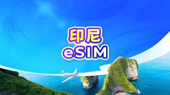 印尼 5G eSIM | 可用TikTok & ChatGPT | 日用包/流量包 | 24小時計費 | 1-30天 | QR code