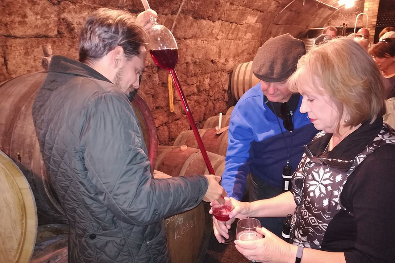 Countryside Half-day Gastro-Wine Tour from Budapest Meal & pickup