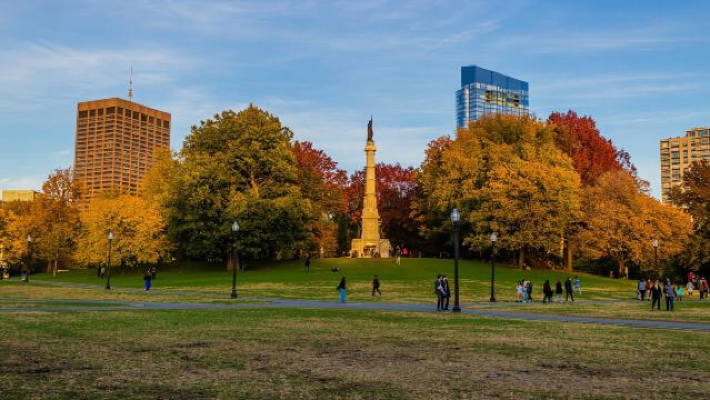 From Boston:Public Garden,Beacon Hill&More Half Day tour
