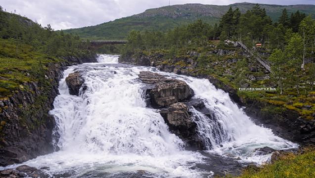 Eidfjord: Shuttle zum Vøringsfossen-Wasserfall & Spaziergang über die Sky Bridge